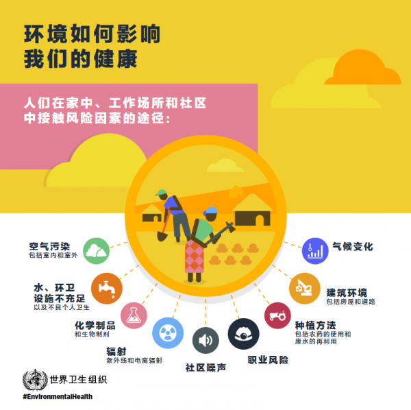 世卫组织：全球平均每4名死者中有1人死于环境问题(图2)