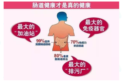 世界肠道日济南肛泰建议多点“肠”识健康“肠”伴(图2)