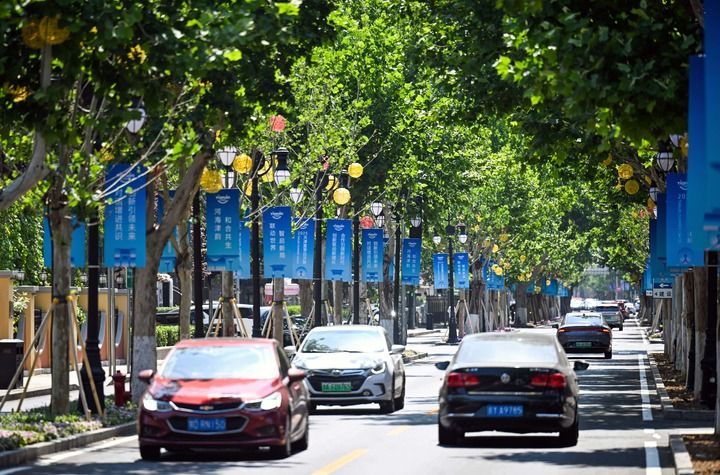 18年夏季达沃斯在渤海之滨风华正茂(图2)