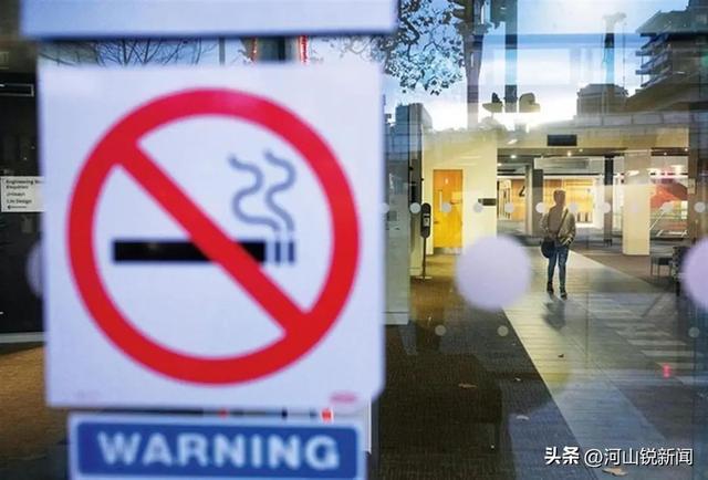 世界上“最健康的国家”竟是阿富汗他们的一日三餐都吃些什么？(图4)