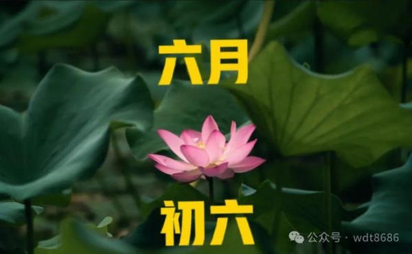 “不怕六月六日晴就怕六月六日阴”究竟为啥怕阴雨？答案来了！(图1)