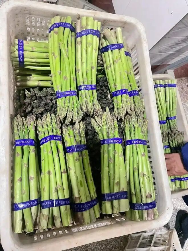 芦笋和竹笋一样吗？哪种好吃有营养？(图2)