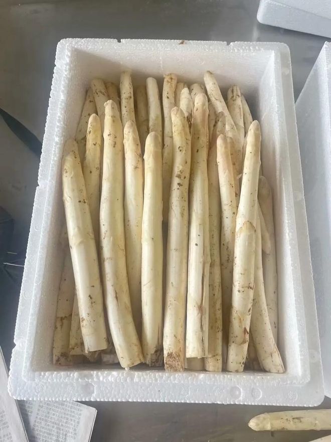 芦笋和竹笋一样吗？哪种好吃有营养？(图5)