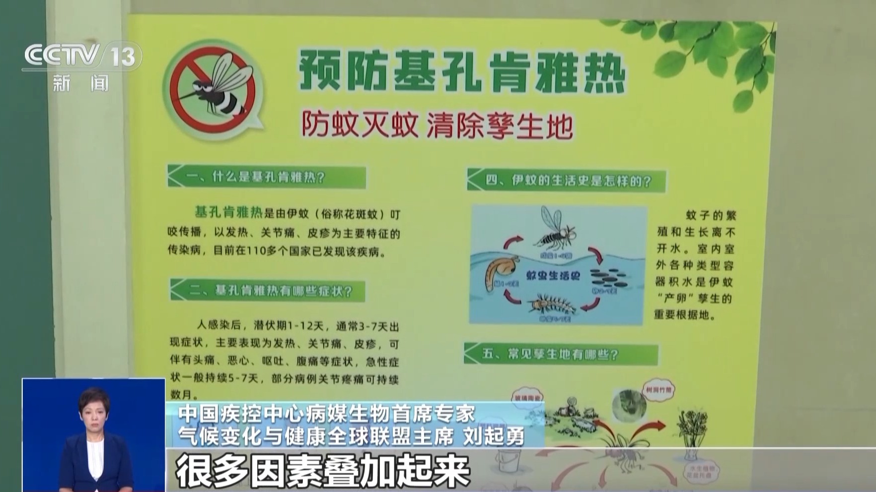 确诊超4000例基孔肯雅热啥来头？(图2)