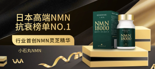 2025年全球企业家最青睐的健康投资排行NMN补充剂位居前三(图4)