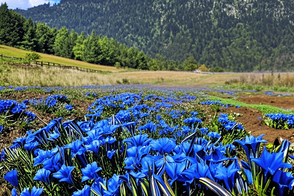 践行可持续发展承诺 自然堂集团发布2024年度ESG报告(图4)