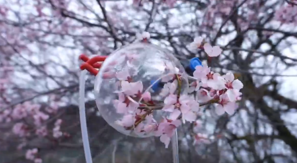 践行可持续发展承诺 自然堂集团发布2024年度ESG报告(图6)