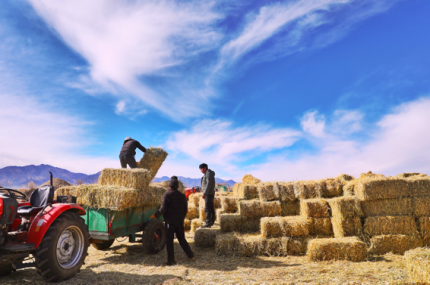 践行可持续发展承诺 自然堂集团发布2024年度ESG报告(图5)