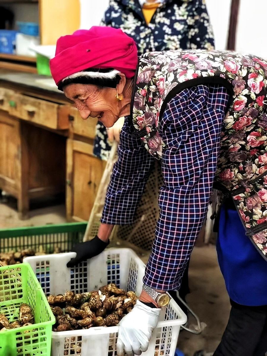 舌尖上的山珍：云菌何以吸引全球客商(图2)