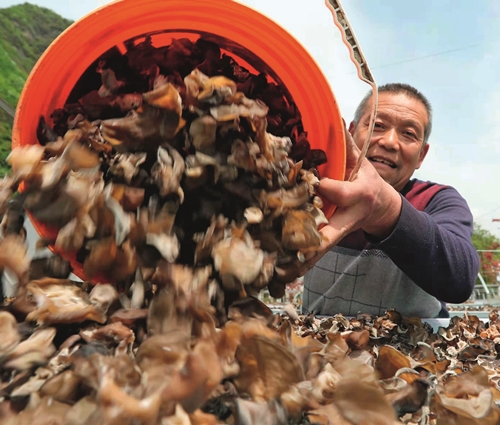 习近平与美丽中国建设（13）：努力建设人与自然和谐共生的美丽中国(图5)