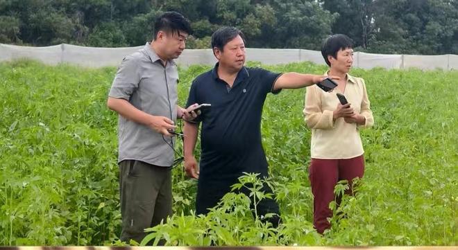 以微生物肥料技术破局盐碱地治理赋能全球土壤健康与粮食安全(图3)