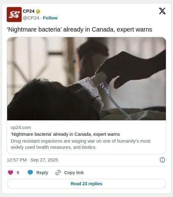 从餐桌到病床！加拿大医生警告：抗生素失效全球下一场灭顶之灾正在逼近！
