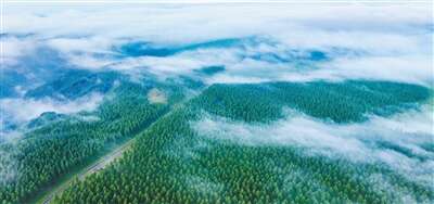 生态文明建设实现新进步(图2)