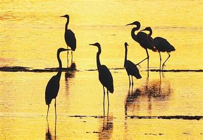 生态文明建设实现新进步(图4)