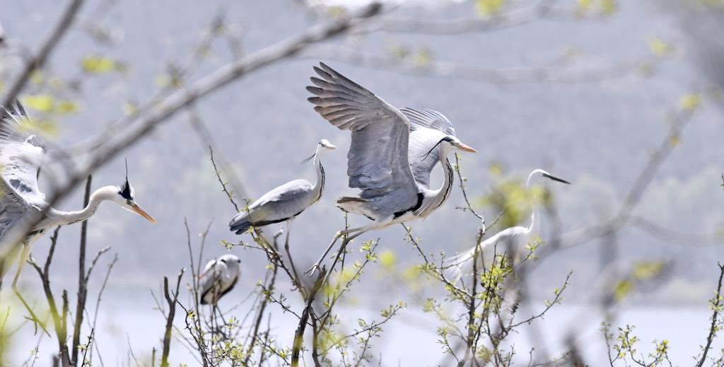 北京今年前三季度PM25浓度同比下降15%(图2)