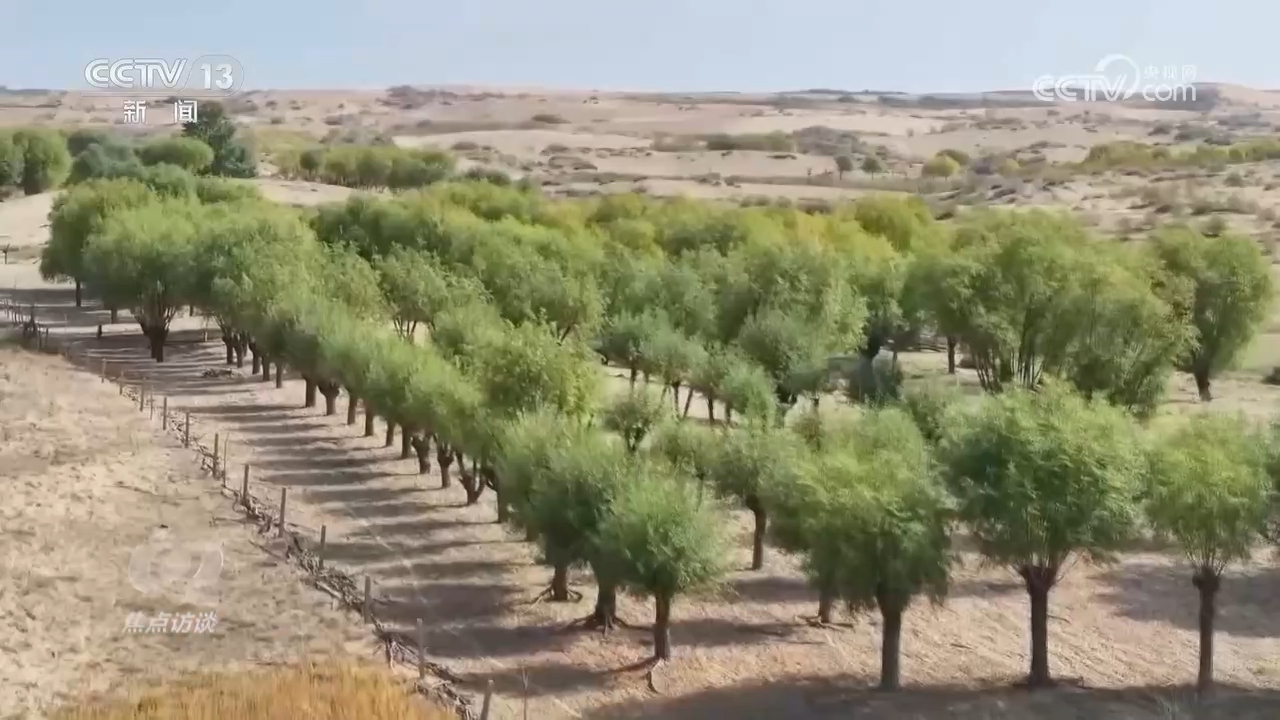 焦点访谈｜中国交出“十四五”高质量生态答卷 为地球增添更多“中国绿”(图4)