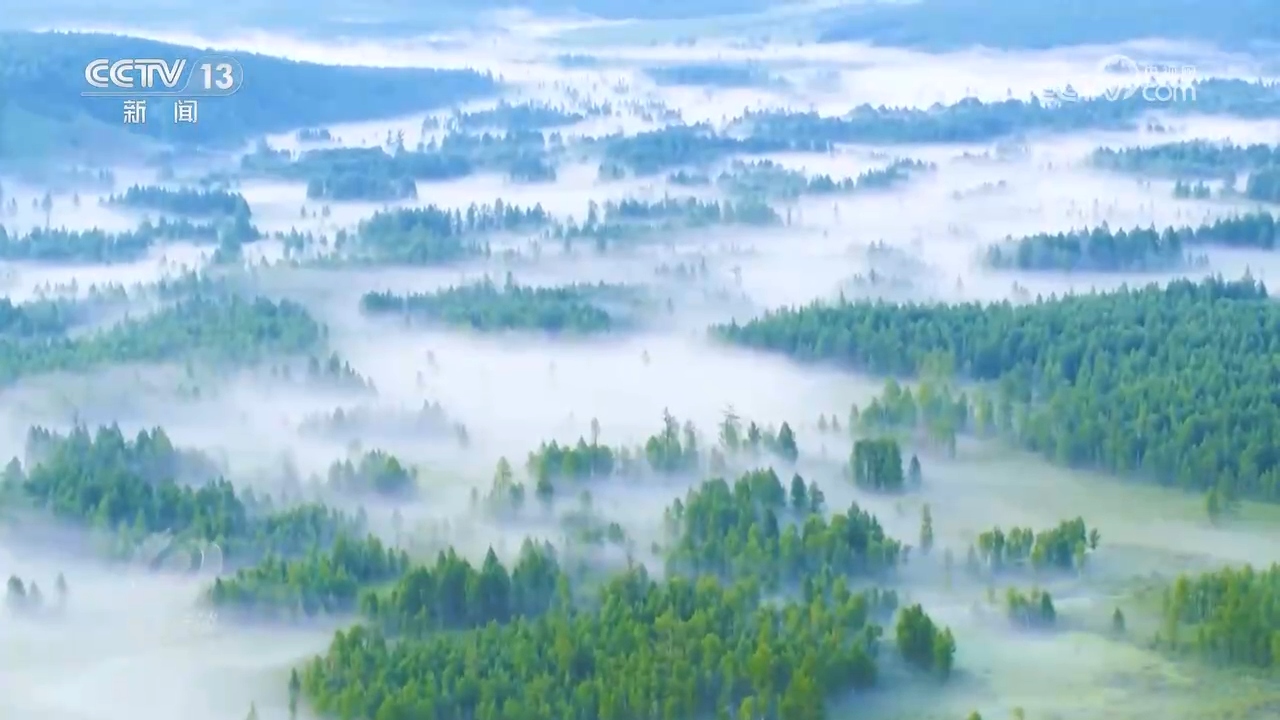 焦点访谈｜中国交出“十四五”高质量生态答卷 为地球增添更多“中国绿”(图3)