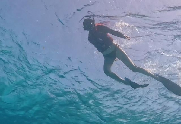 关晓彤浮潜好长的腿网友：从没见过这么长的腿！(图5)