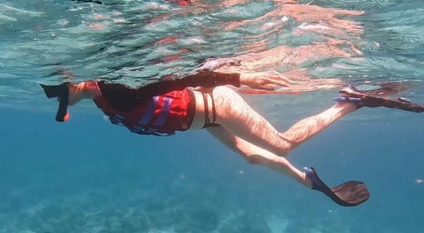 关晓彤浮潜好长的腿网友：从没见过这么长的腿！(图14)