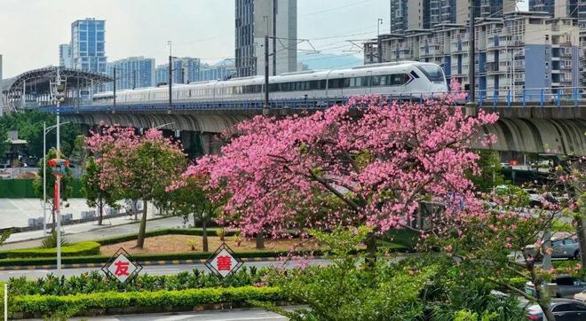 江门：同心协力共建健康优质人居环境