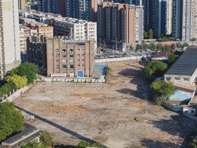 江门：同心协力共建健康优质人居环境(图9)