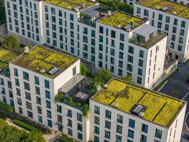 全球超过一半的人都住在城市！怎么样才能让城市住得更舒服呢？(图2)