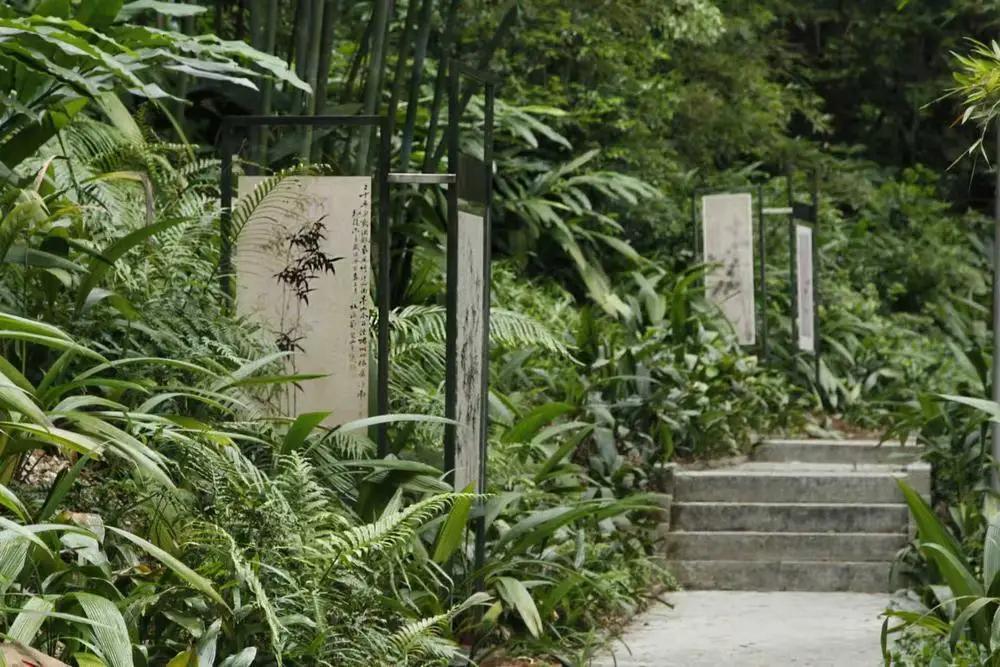 环境健康双融合越秀区打造美丽健康城区新样板(图4)