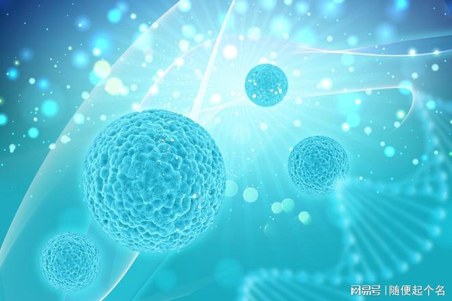 河南省华隆生物技术：胎盘干细胞储存守护生命健康的科学之选(图3)