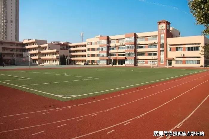 中鹰黑森林2026-售楼处电话-上海中鹰黑森林官方首页网站-最新房价-户型-容积率-小区配套-楼盘详情价格户型(图14)