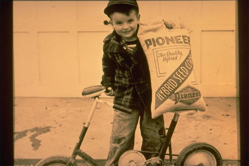 玉米种子公司先锋简史_专题_资讯_种业商务网(图3)