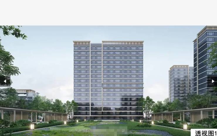 合肥保利琅悦项目电话号码-学区(图3)