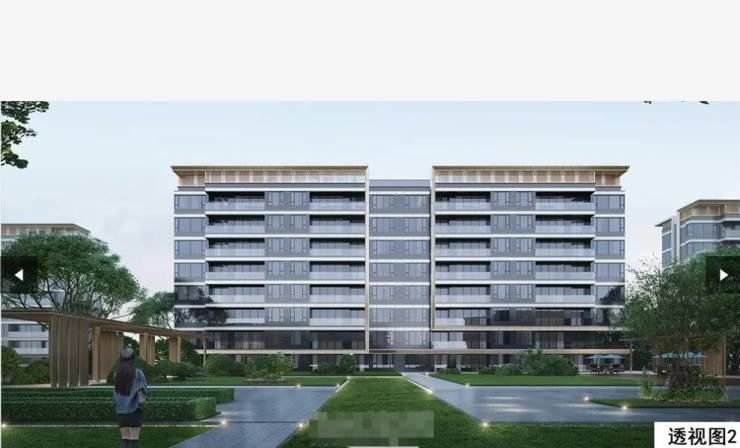 合肥保利琅悦项目电话号码-学区(图2)