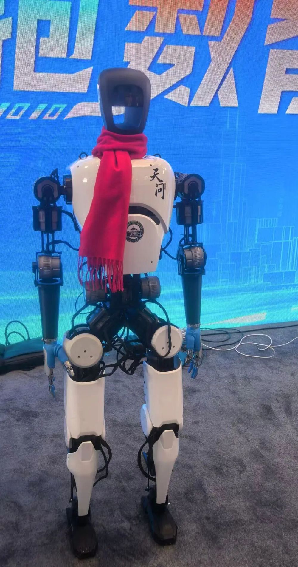 “老友”升级“新朋”首秀！湖北“新春第一会”Ta们硬核亮相(图2)