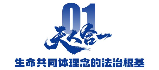 汲取千年智慧 守护绿水青山——品读生态环境法典总则中的中华优秀传统生态文化基因(图1)