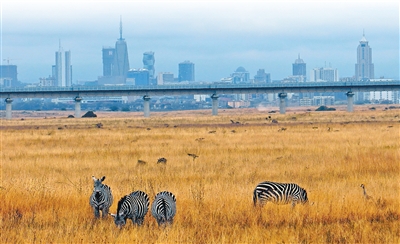 与中国走近就是与绿色发展走近(图1)