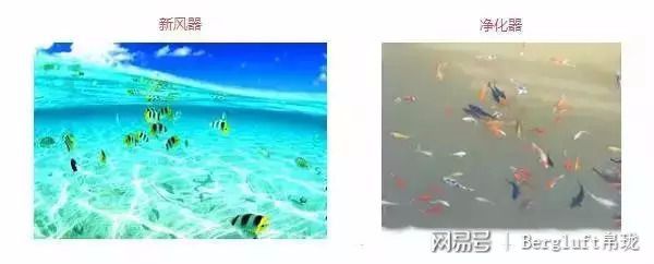 如何改善家庭的空气质量？可能很多人用错方法了(图1)