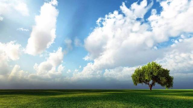 “天蓝得干净一切都跟着鲜亮了”(图1)