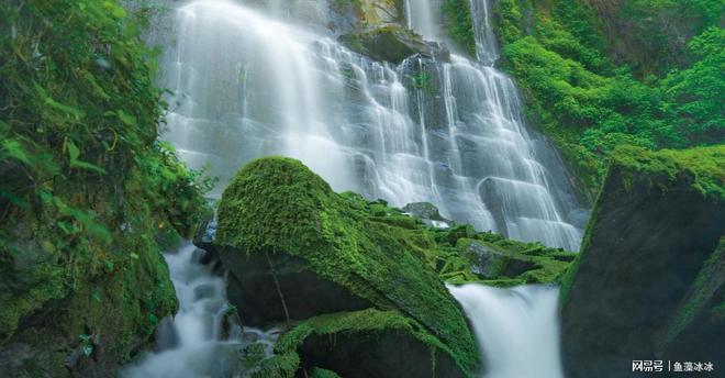 喝矿泉水真的比喝纯净水更健康吗？(图3)