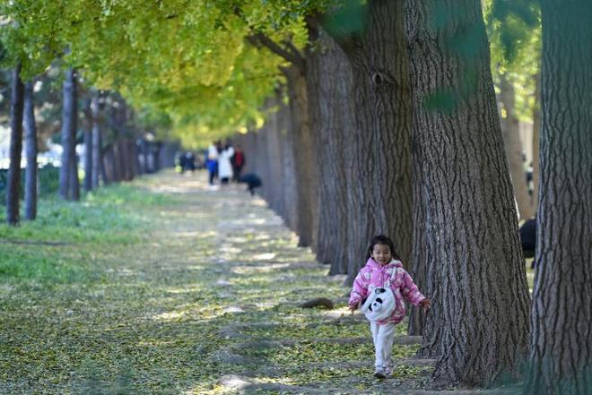 大气污染反弹？国常会审议通过《空气质量持续改善行动计划(图2)