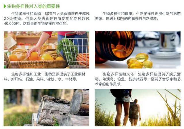 人民论坛每日推荐（5篇）(图1)